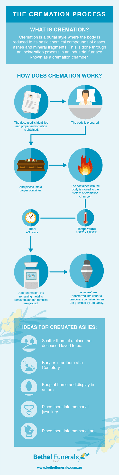 cremation process infographic