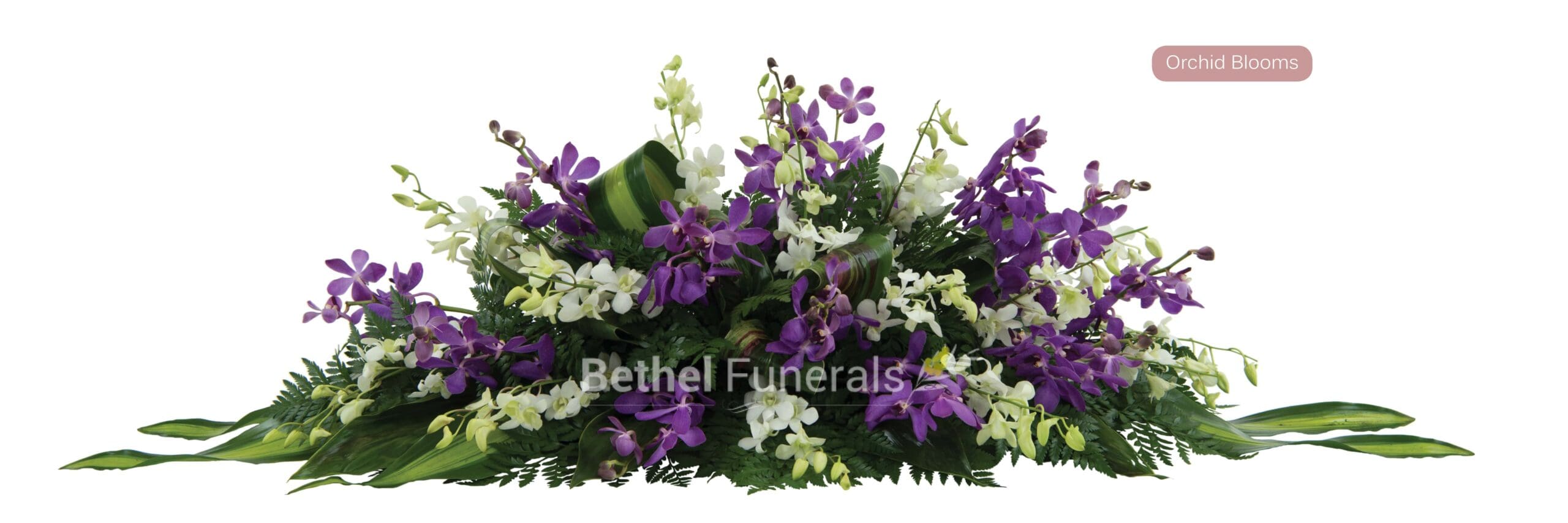 Orchid Blooms funeral flowers