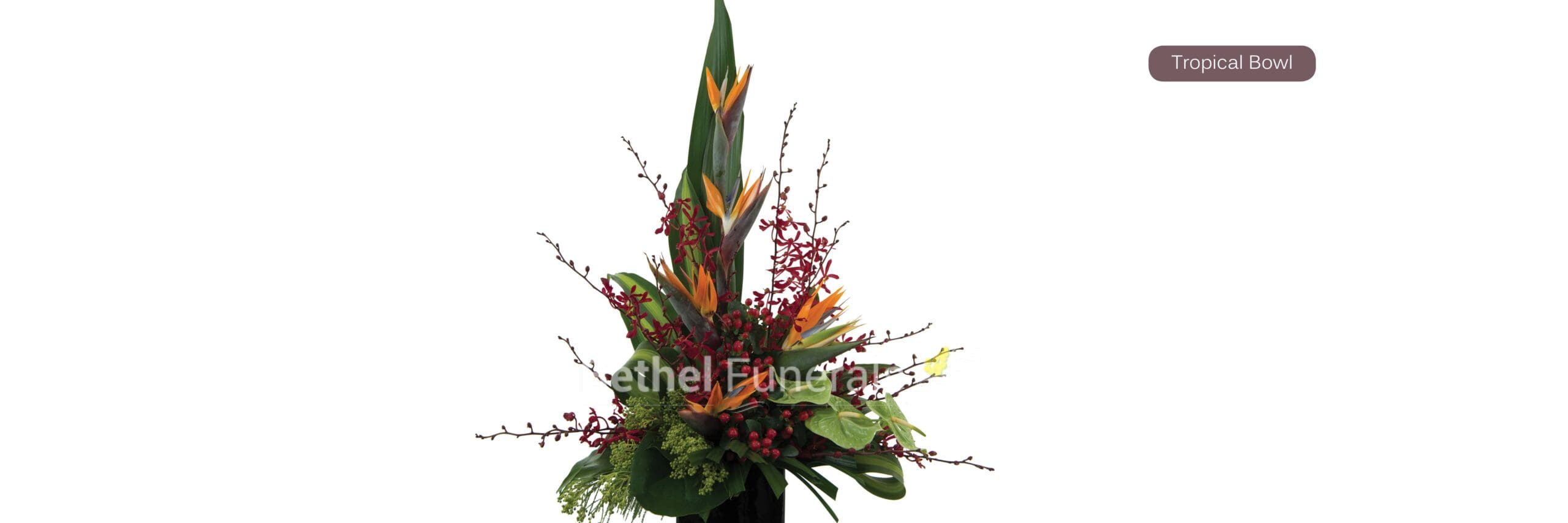 Tropical Bowl funeral flowers